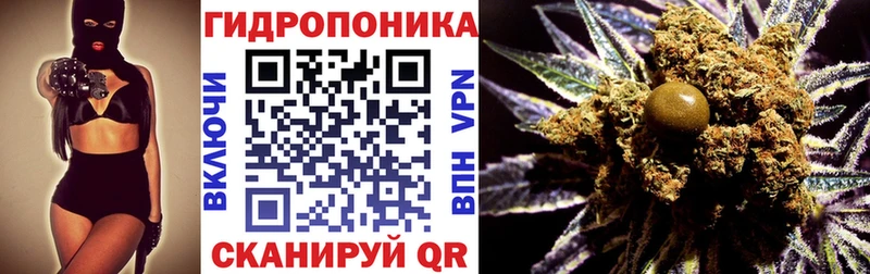 Наркотические вещества Бабушкин СК  Псилоцибиновые грибы  Меф  Бошки Шишки  COCAIN 
