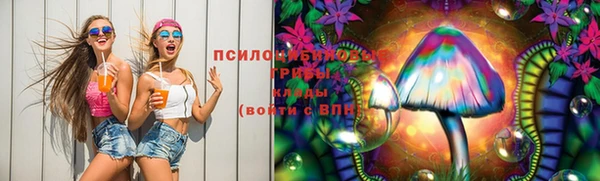 бошки Алексин