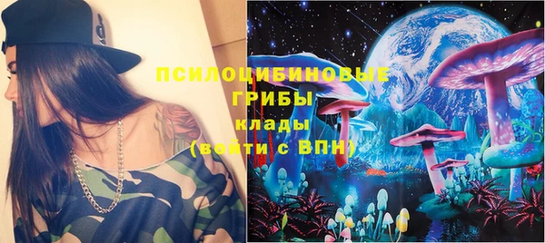 бошки Алексин