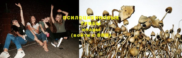 каннабис Алексеевка